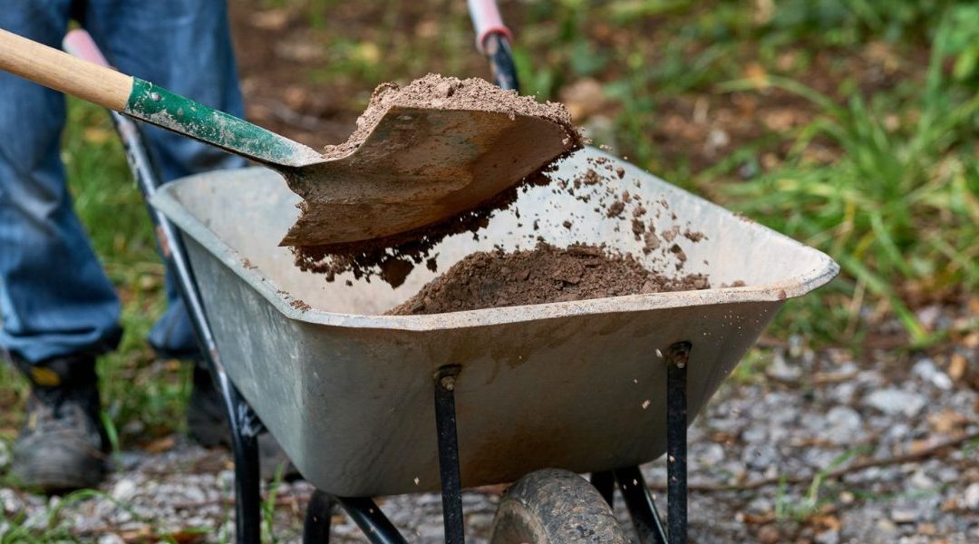 Dig Days are back!!
