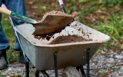 Dig Days are back!!